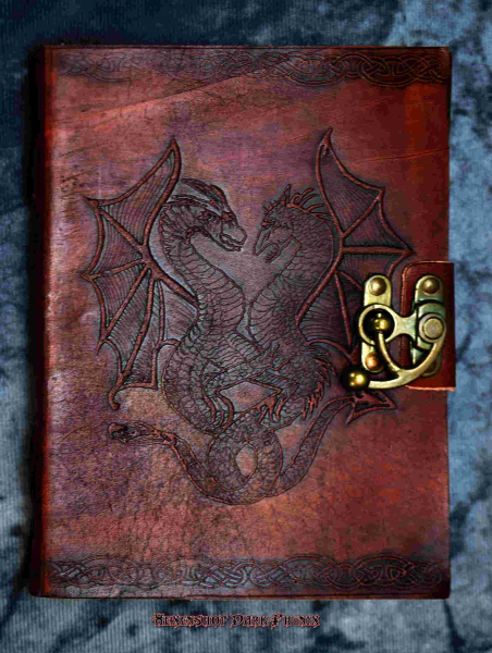 Schattenbuch zwei kleine Drachen